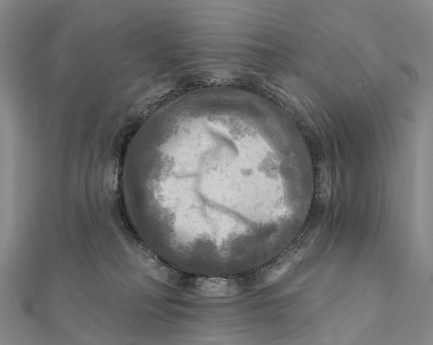 X0000112100230200909011131