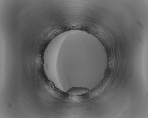 X0000112100231200909011131