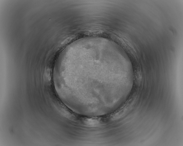 X0000112100232200909011131