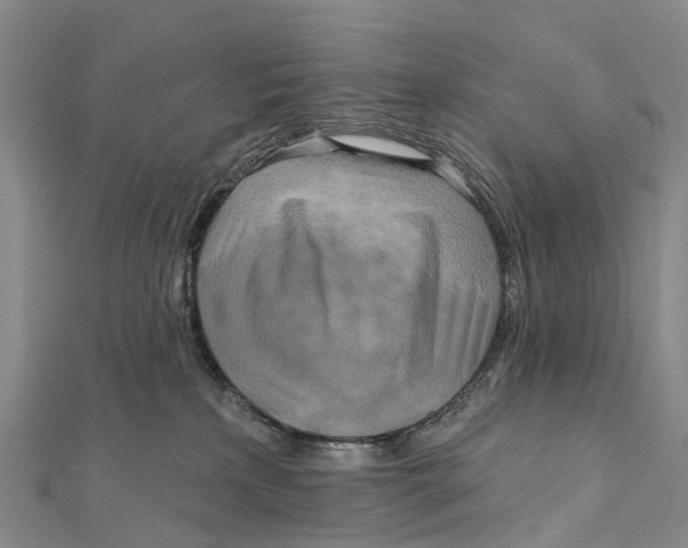 X0000112100233200909011131