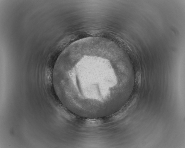 X0000112100234200909011131