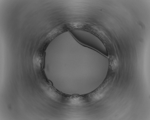X0000112100235200909011131