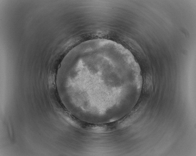 X0000112100236200909011131