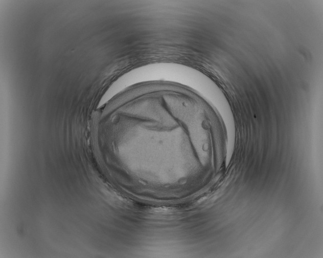 X0000112100237200909011131