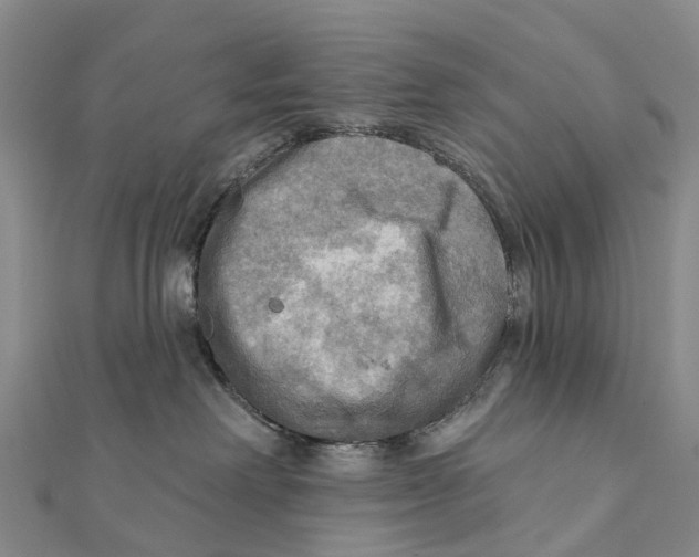 X0000112100238200909011131