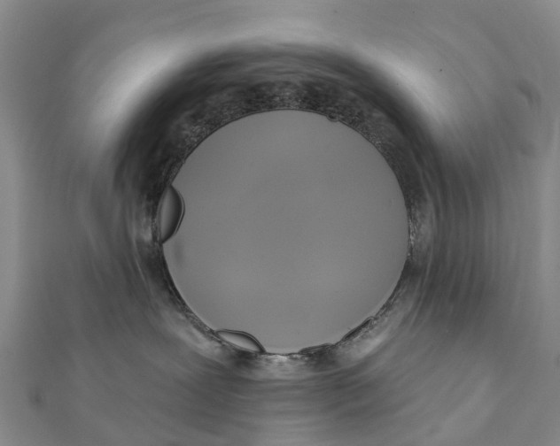 X0000112100239200909011131