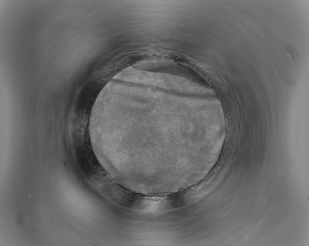X0000112100240200909011131