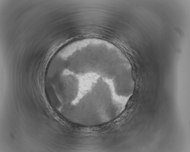 X0000112100241200909011130