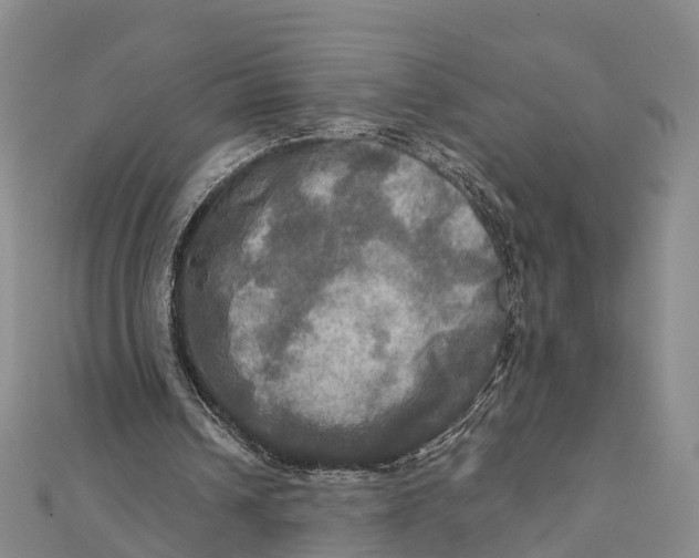 X0000112100242200909011130