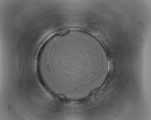 X0000112100243200909011130
