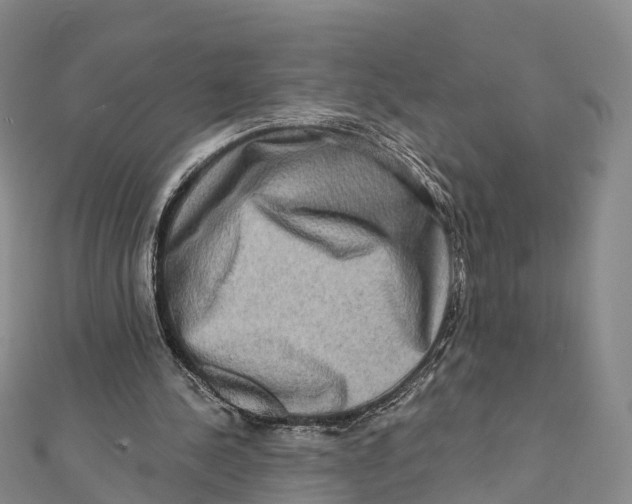 X0000112100244200909011130