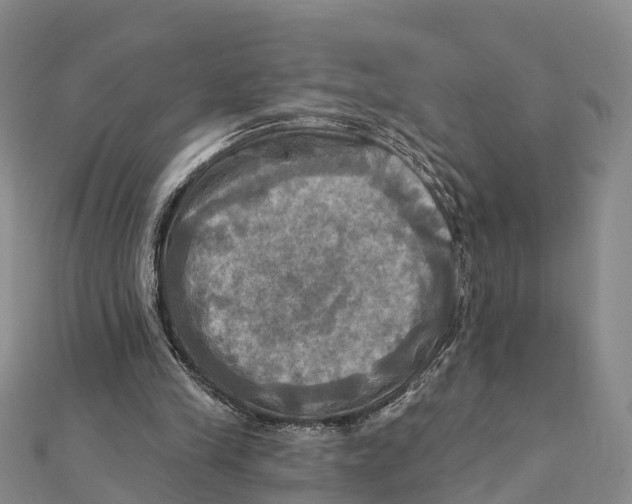 X0000112100245200909011130