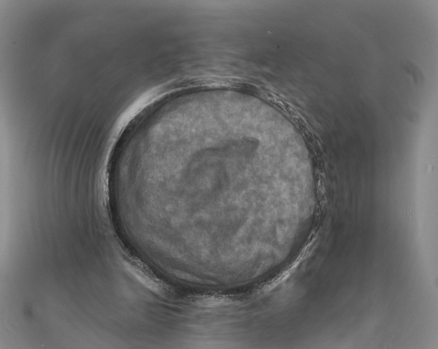 X0000112100246200909011130