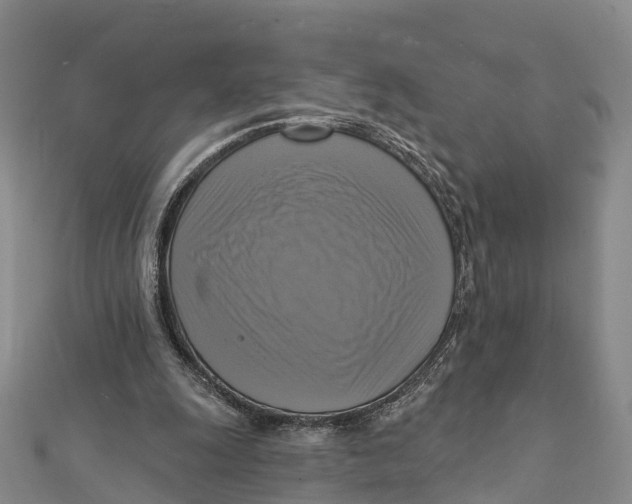 X0000112100247200909011130