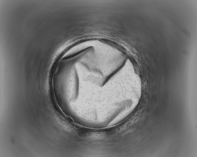 X0000112100248200909011130