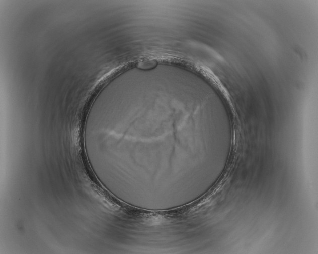 X0000112100249200909011130