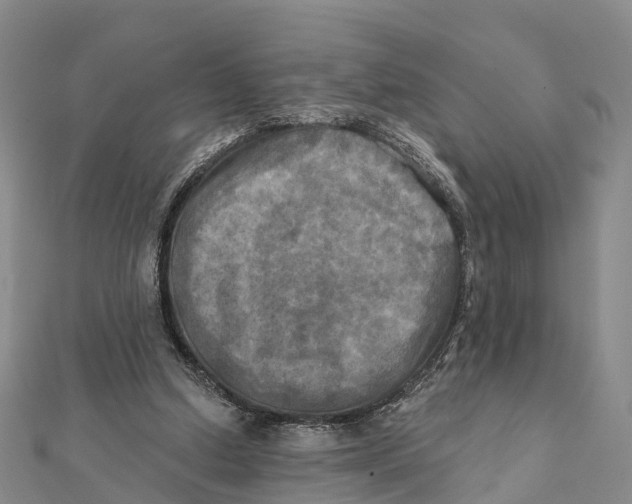 X0000112100250200909011130