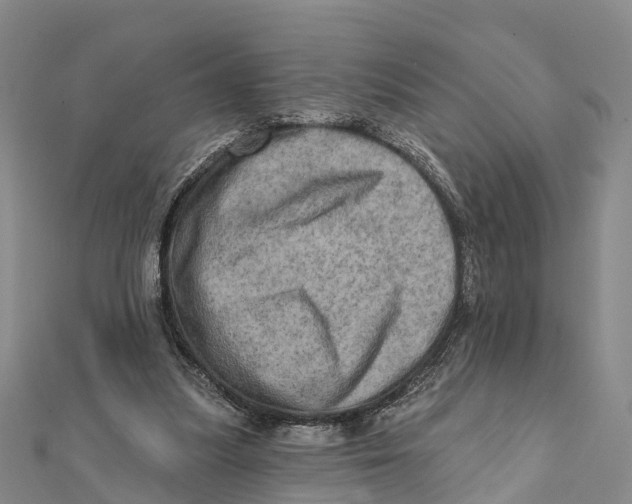 X0000112100251200909011130