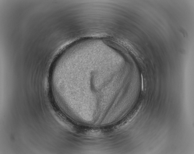 X0000112100252200909011130