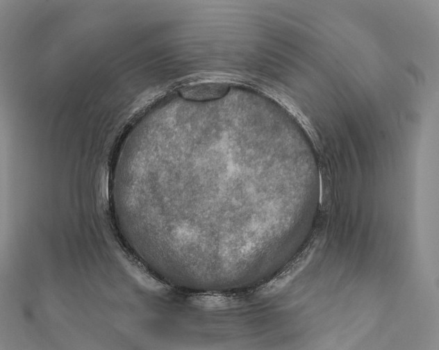 X0000112100253200909011130