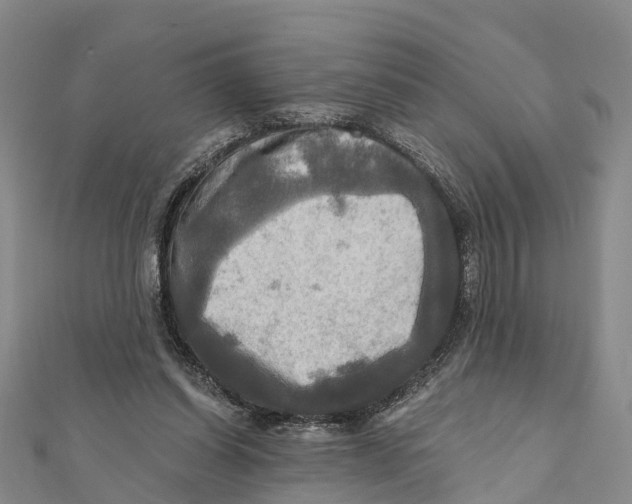 X0000112100254200909011130