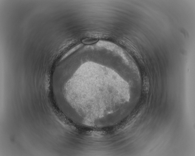 X0000112100255200909011130