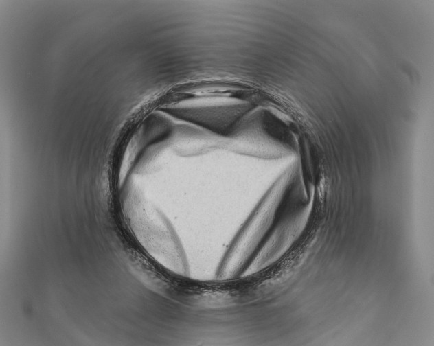 X0000112100256200909011130