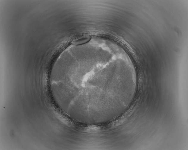 X0000112100257200909011130
