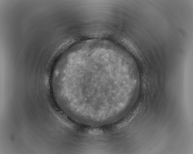 X0000112100258200909011130