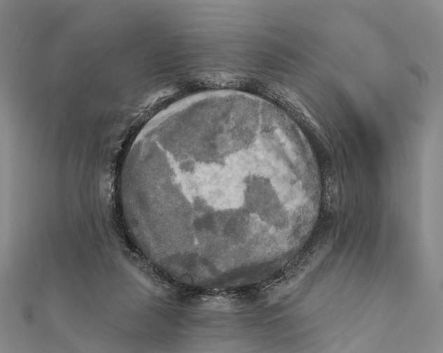 X0000112100259200909011130
