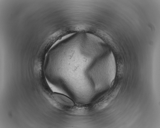 X0000112100260200909011130