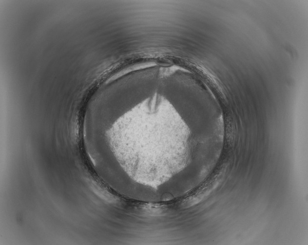 X0000112100261200909011130