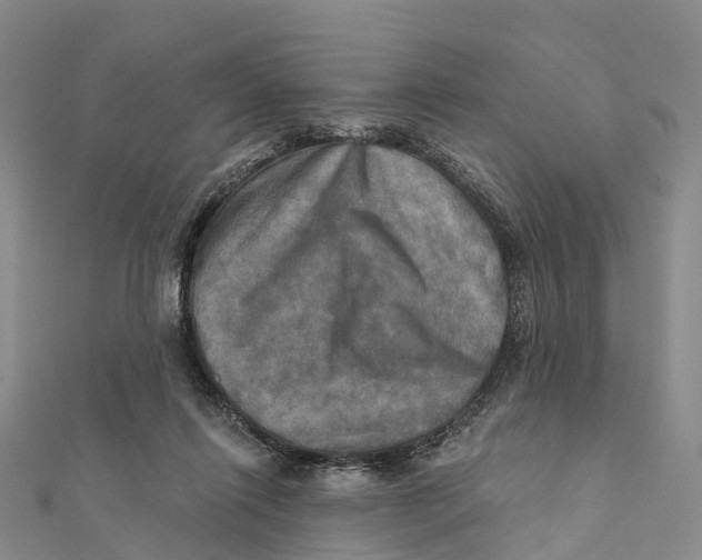 X0000112100262200909011130