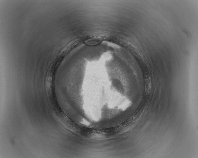 X0000112100263200909011130