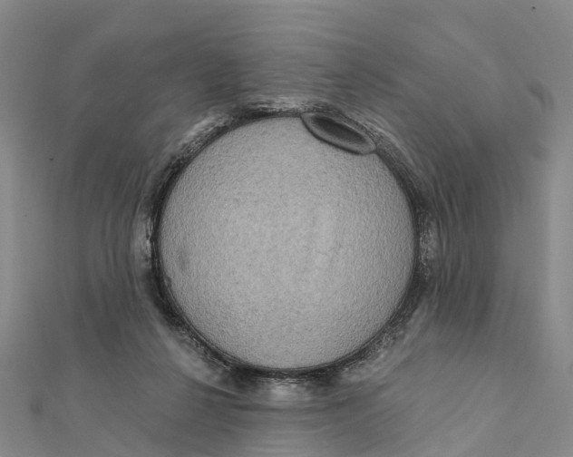 X0000112100264200909011130
