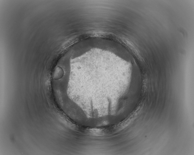 X0000112100265200909011130