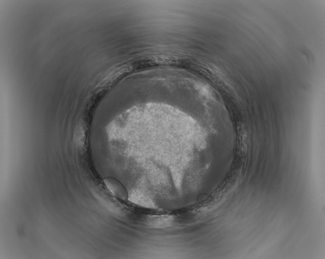 X0000112100266200909011130