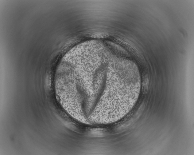 X0000112100268200909011130