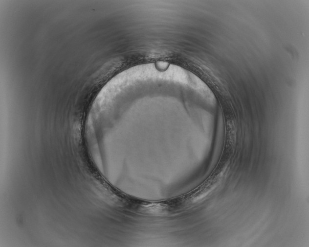 X0000112100269200909011130