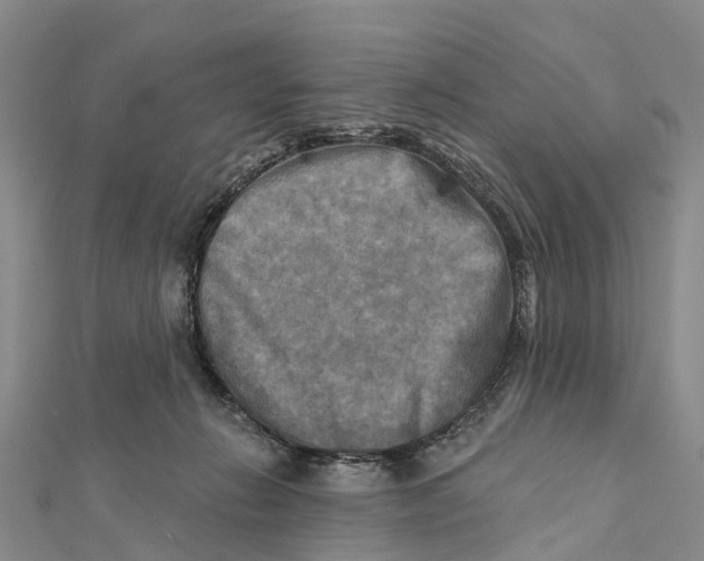X0000112100270200909011130