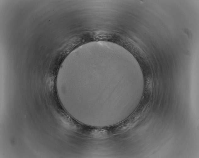 X0000112100271200909011130