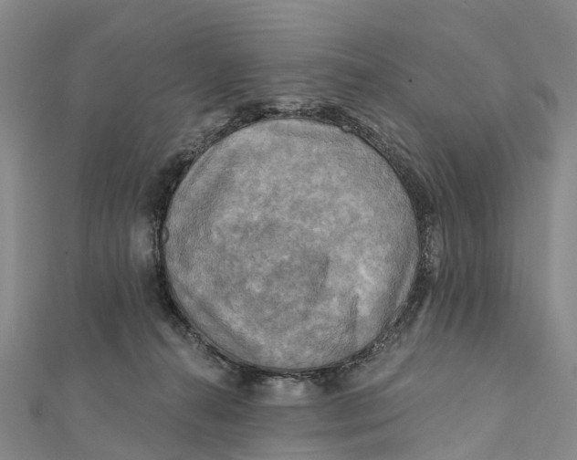 X0000112100272200909011131