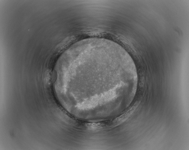 X0000112100273200909011131