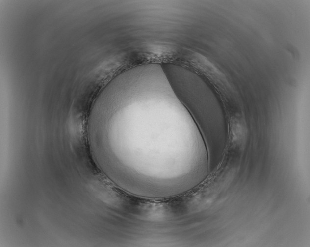 X0000112100276200909011131