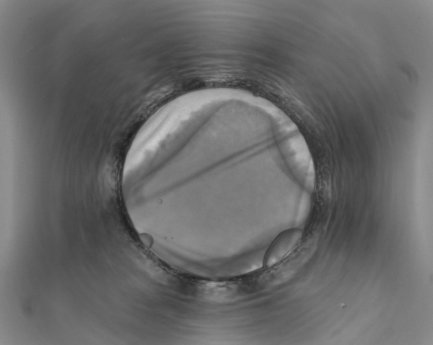 X0000112100277200909011131