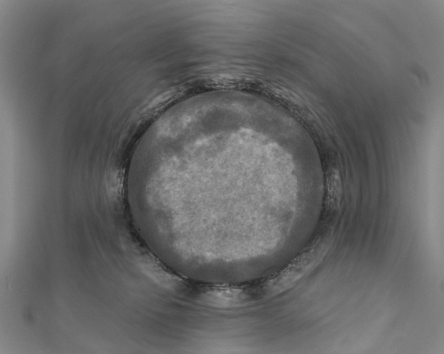 X0000112100278200909011131