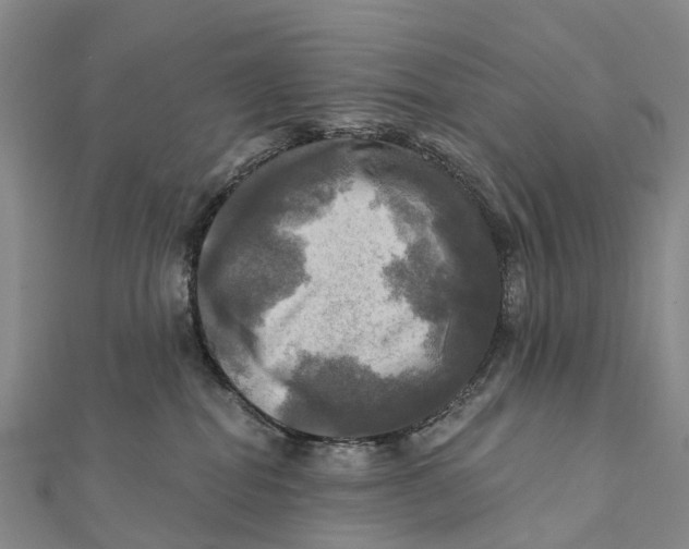 X0000112100282200909011131