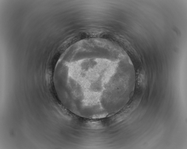 X0000112100283200909011131