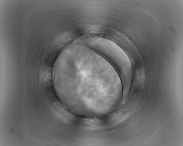 X0000112100284200909011131