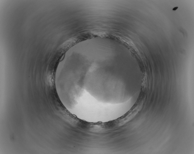 X0000112100285200909011131